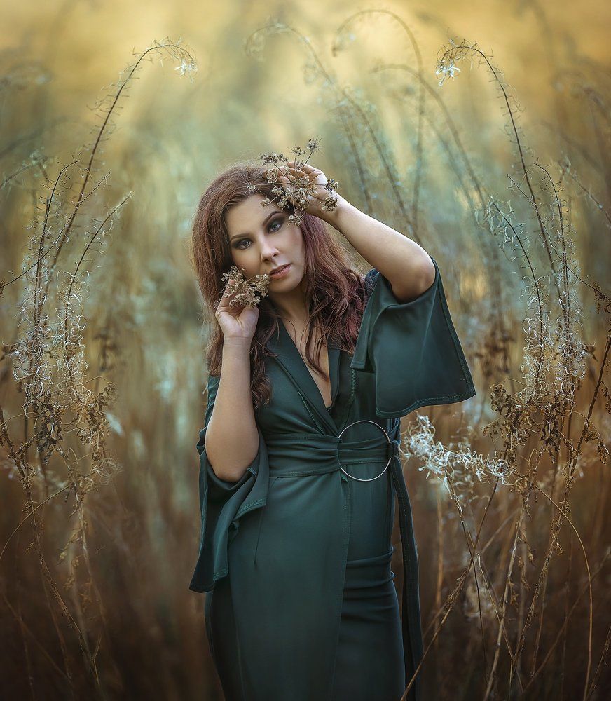 'Golden winter meadow'