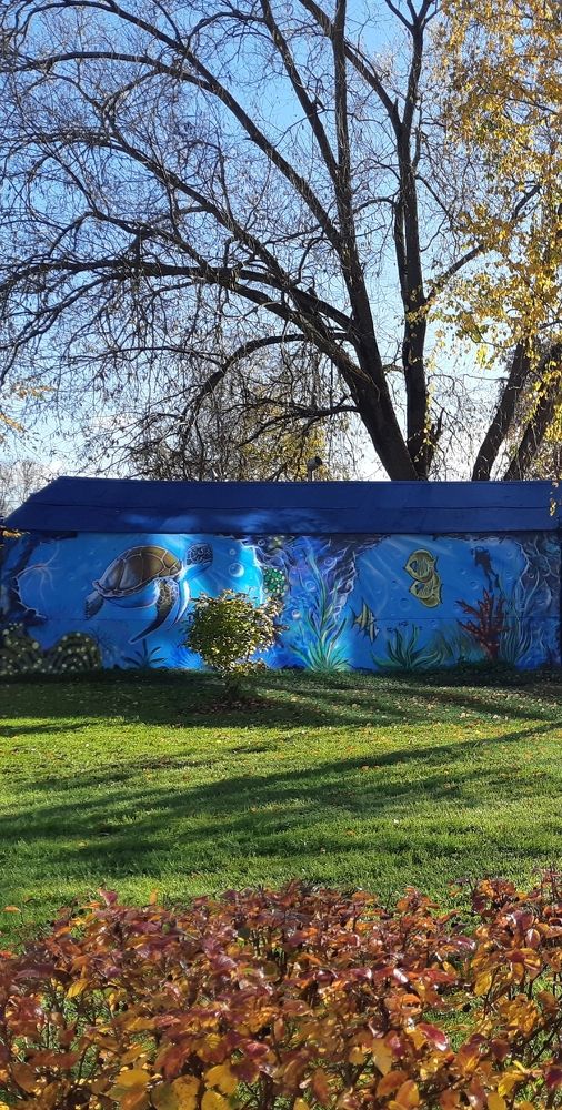 Dance of light and shadow