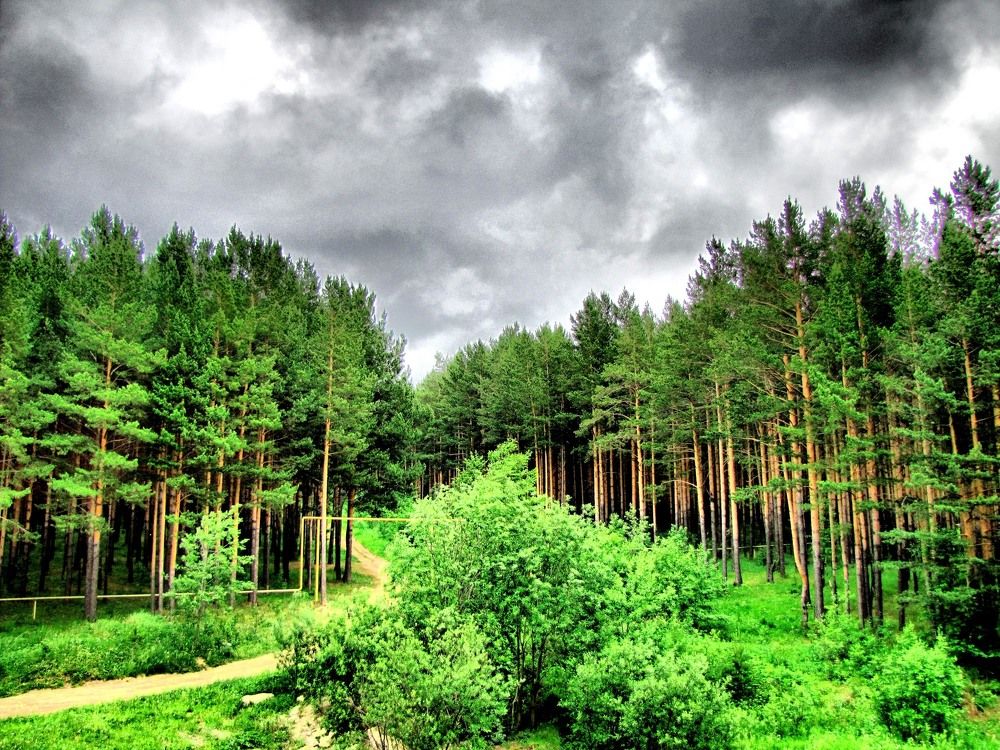 вид из окна