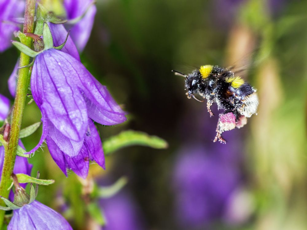Photograph by Victor Pruhnitskiiy