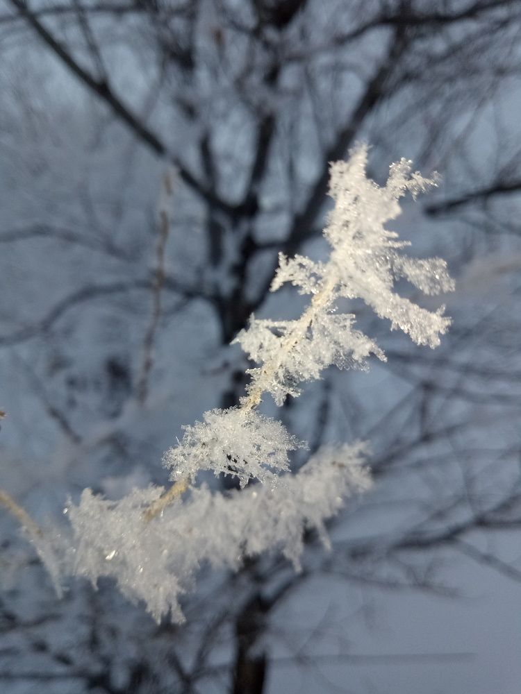 Сельская зима