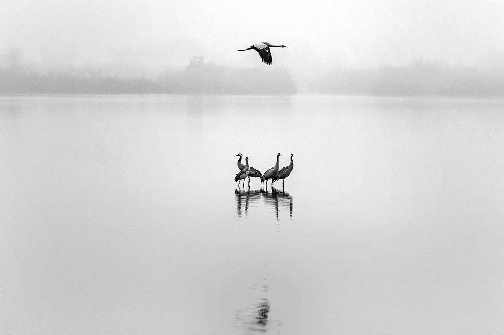 Photograph by Maxim Sayapin