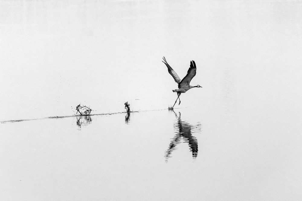 Photograph by Maxim Sayapin