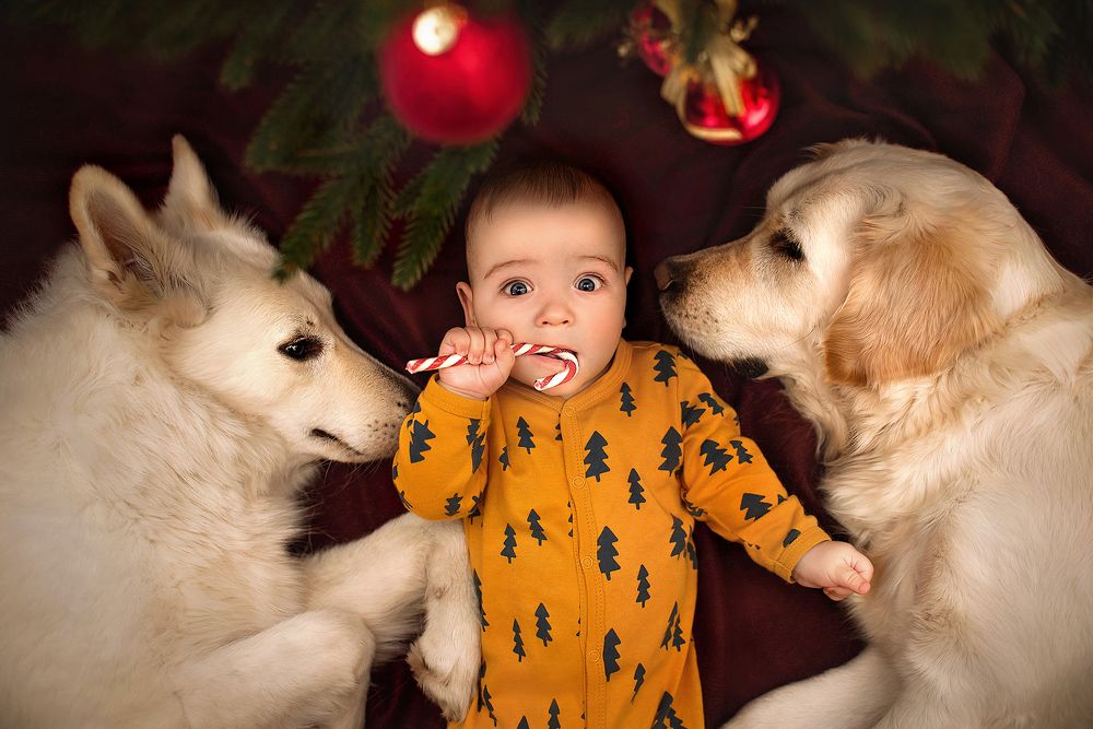 В ожидании праздника