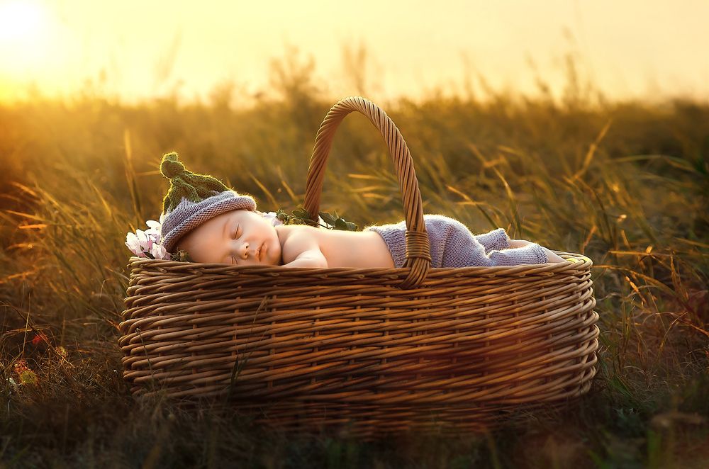 Сладкий сон на закате