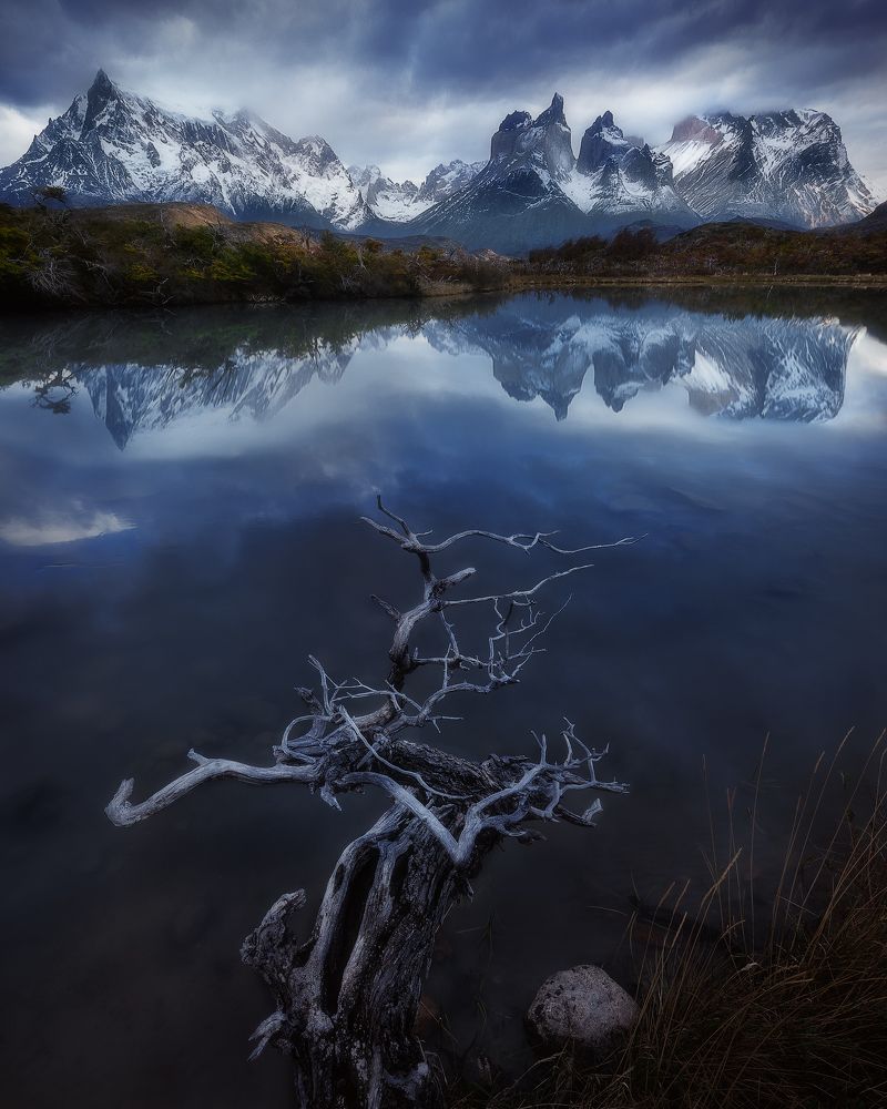 Этюд в синих тонах