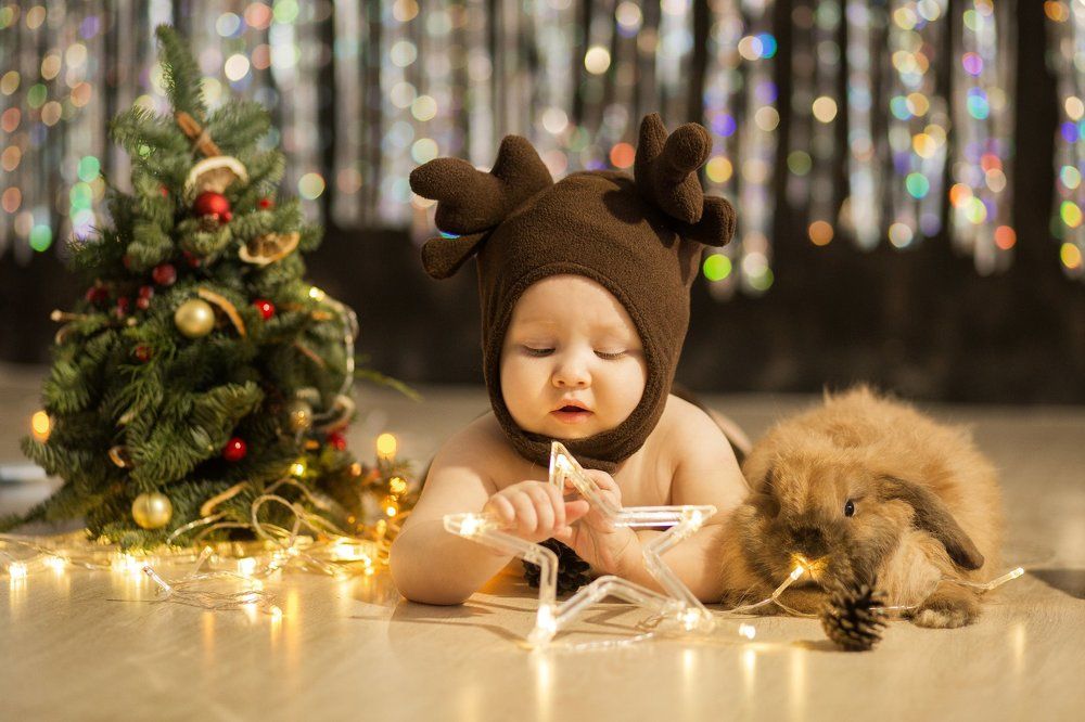 новогоднее чудо