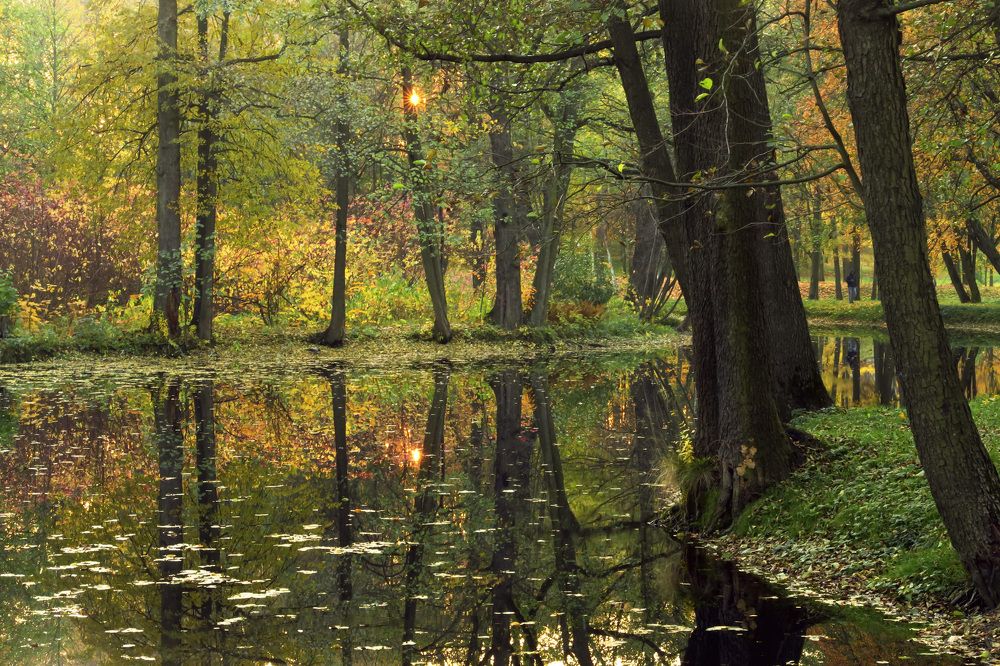 Photograph by Ольга Фагерроз