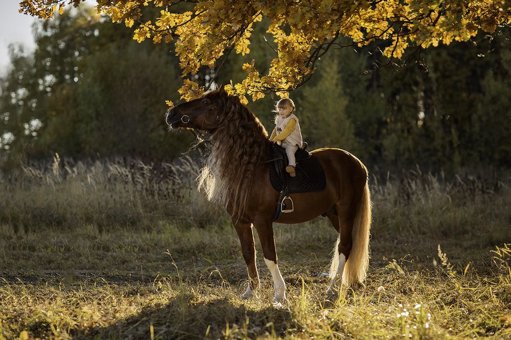 Photograph by Юлия Шварцбурд