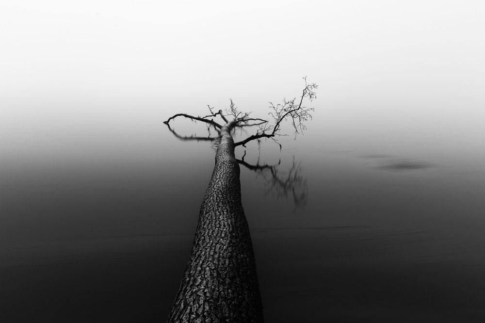 Утро над туманным заливом.