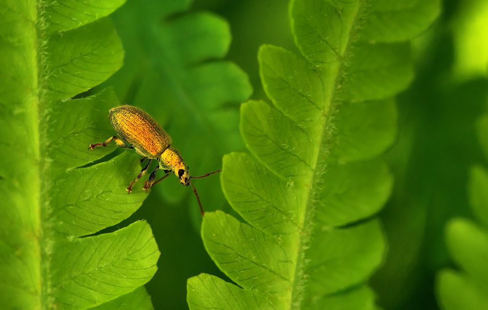 Photograph by Andrey Rut