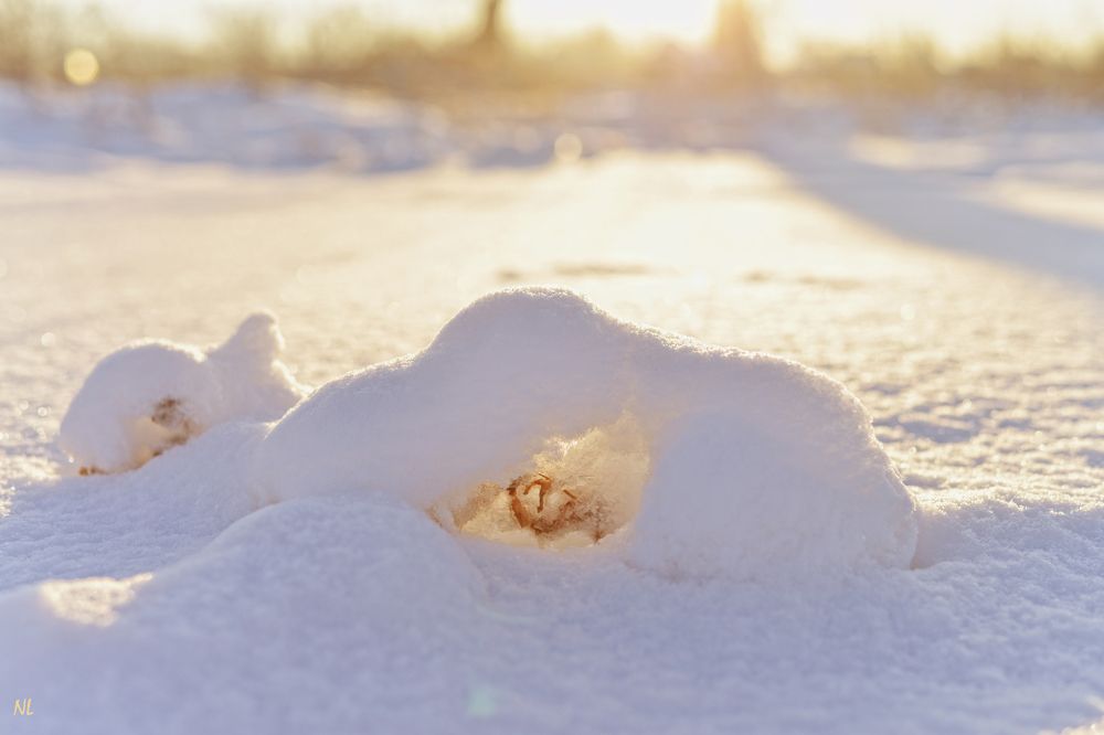 Photograph by Наталья Лещинская