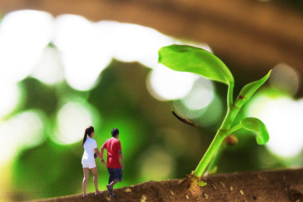 In A Tiny World