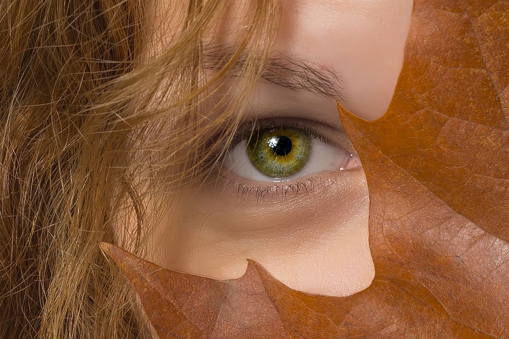 autumn