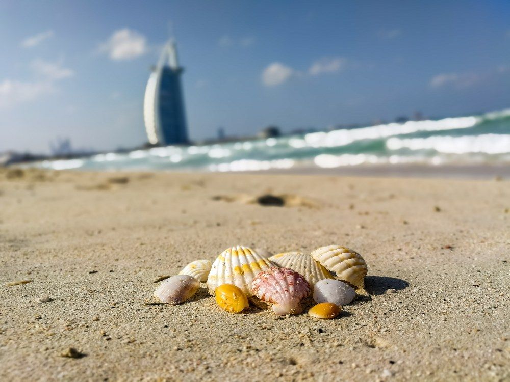 Морское чудо