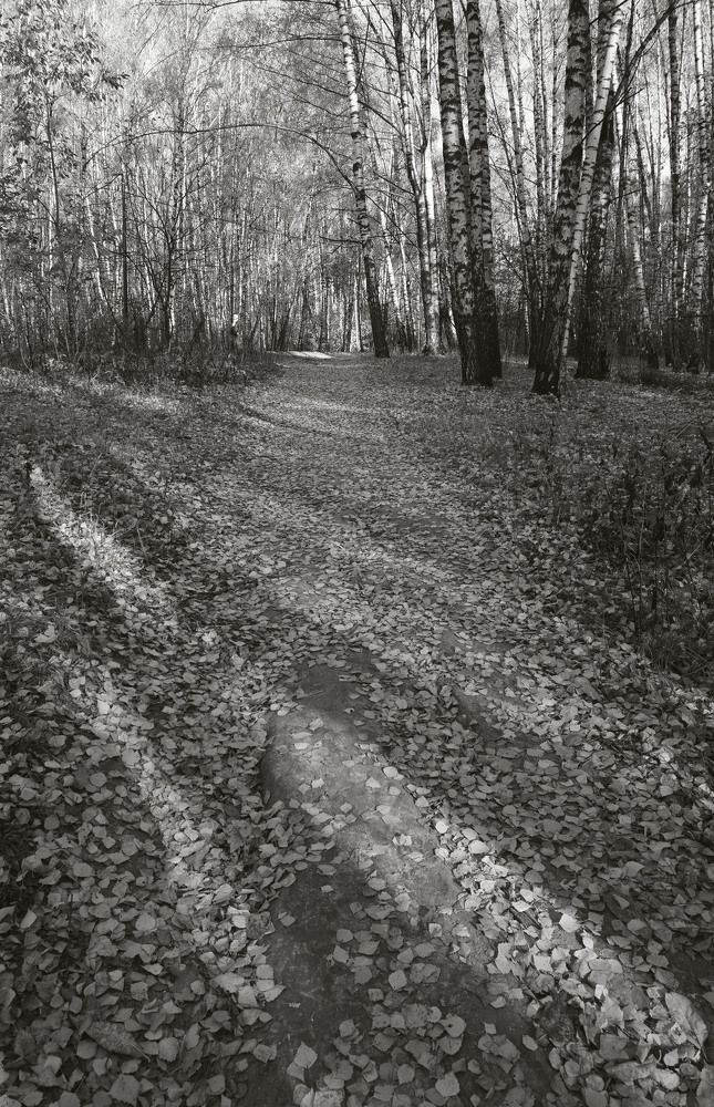 Тени исчезают в полдень ...