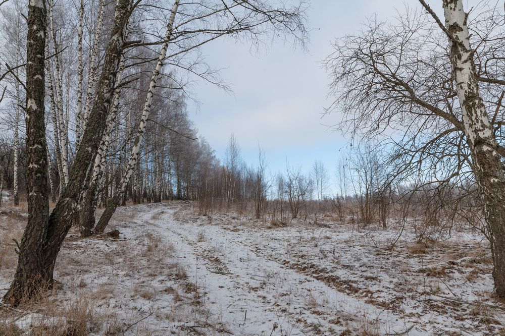 Photograph by Евгений Евдокимов