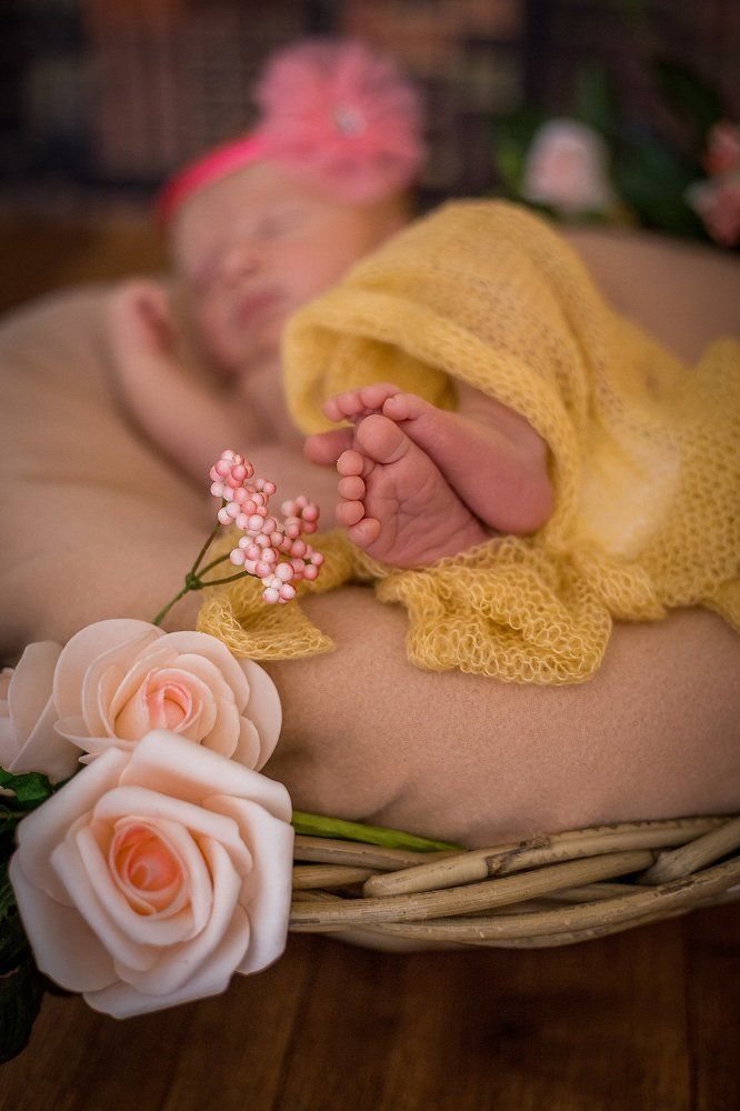 Photograph by Marina Kling