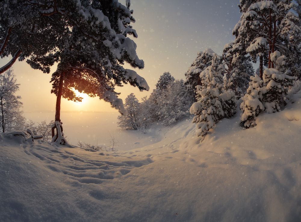 Зимняя сказка...