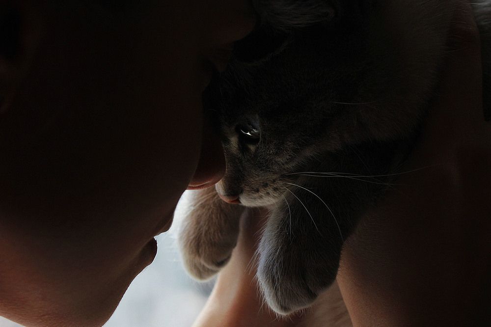 Photograph by Маргарита Чан-Жу-Тин