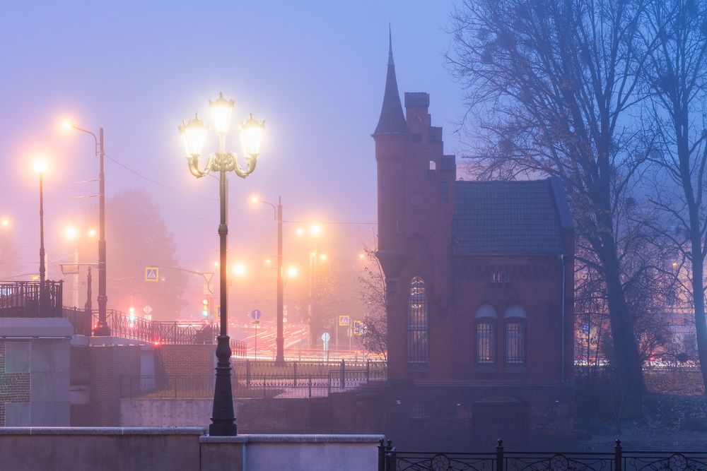 Туманный Калининград