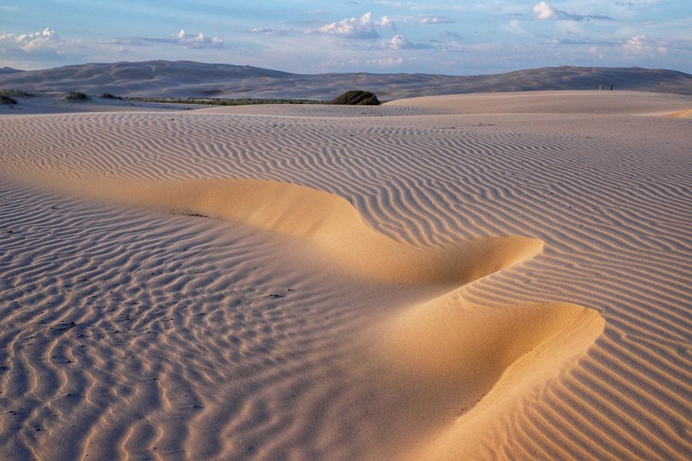 Stockton sand dunes