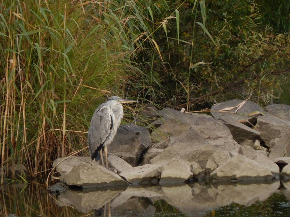 Photograph by Иван Кирилков