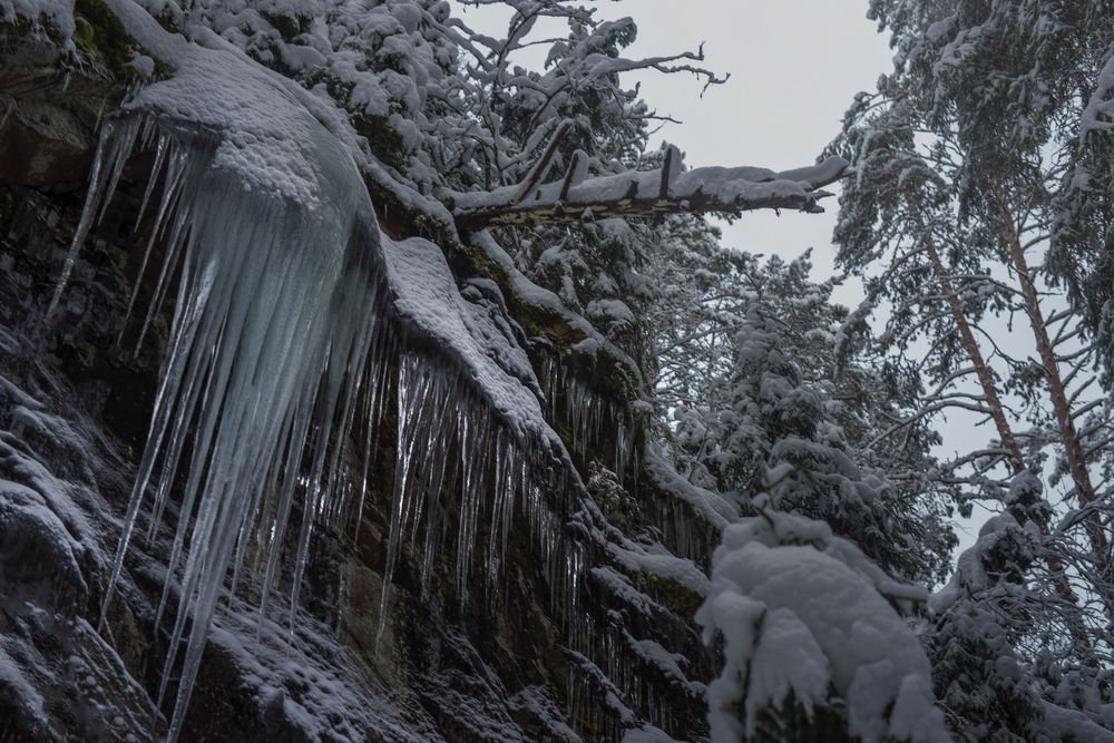Орган Снежной Королевы