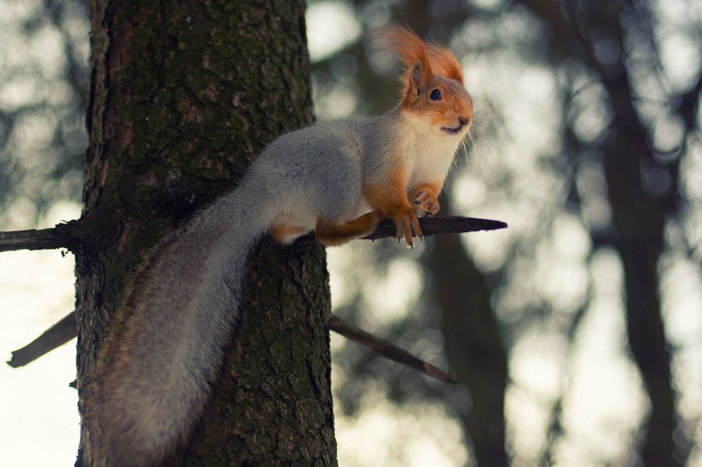 Photograph by Марина Згоник