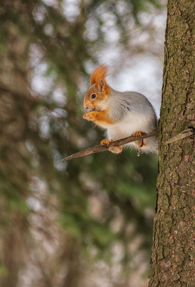 Photograph by Марина Згоник