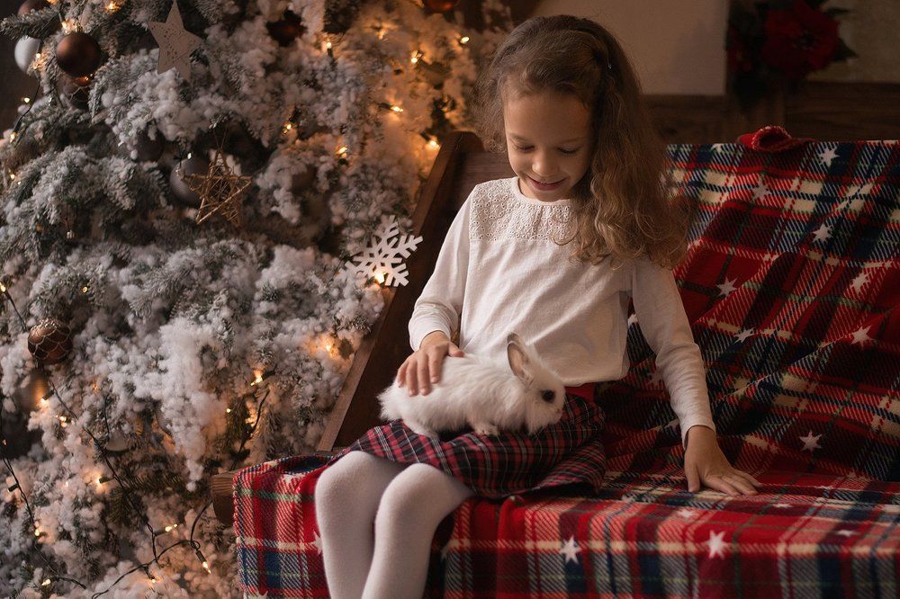 крошка кролик