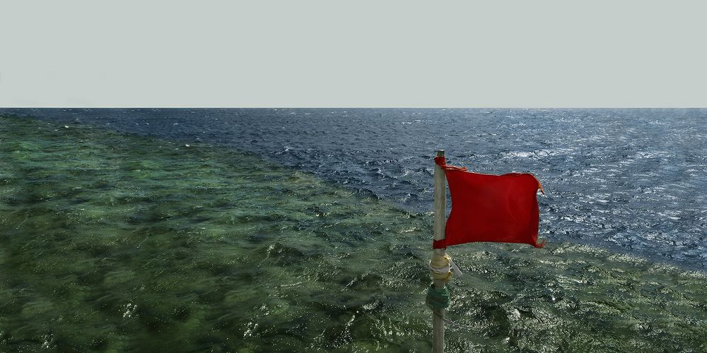 Red Sea. Рифовый минимализм