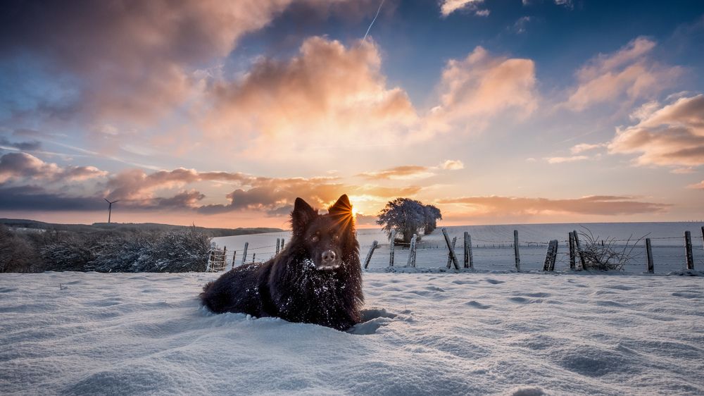 Winter sunrise Luxembourg