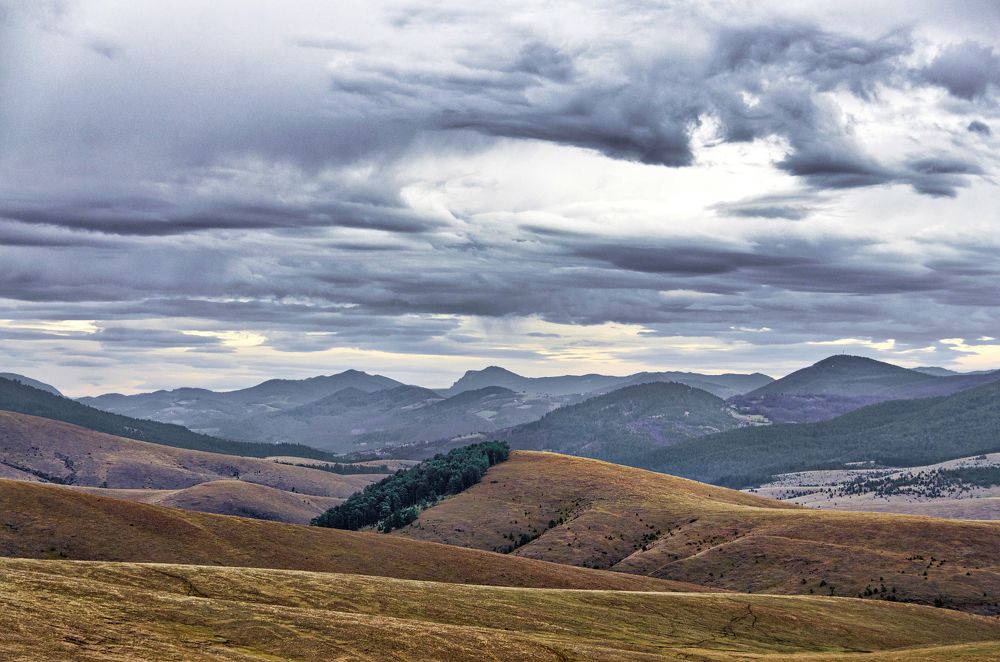 Photograph by Dragan Cerovic