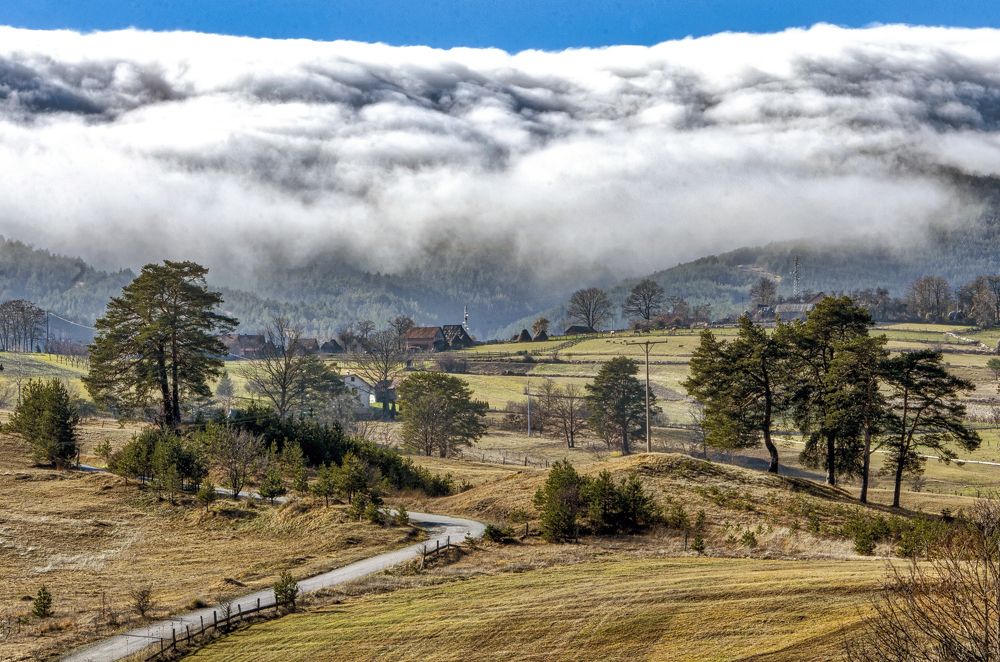 Photograph by Dragan Cerovic