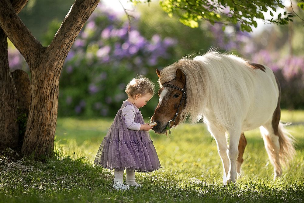 Photograph by Юлия Лоза