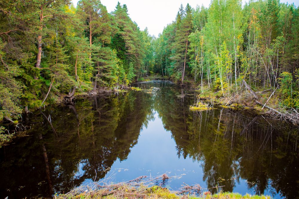 Умиротворение