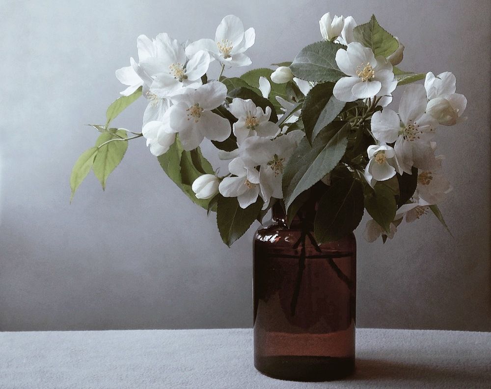 Яблоневый букет на сером.