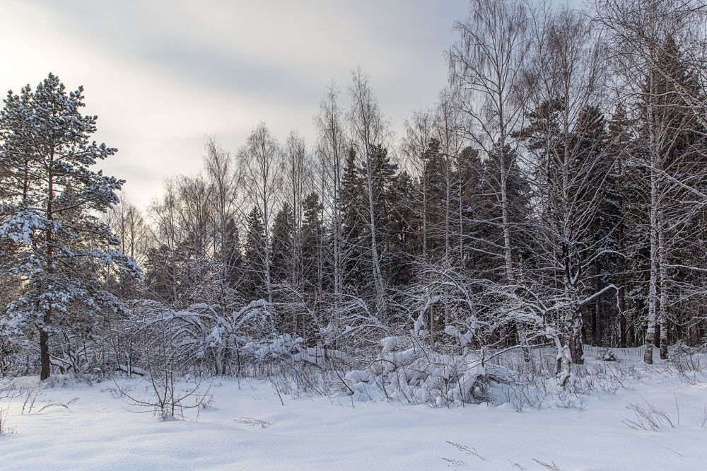 Фотография автора Леонид Никитин