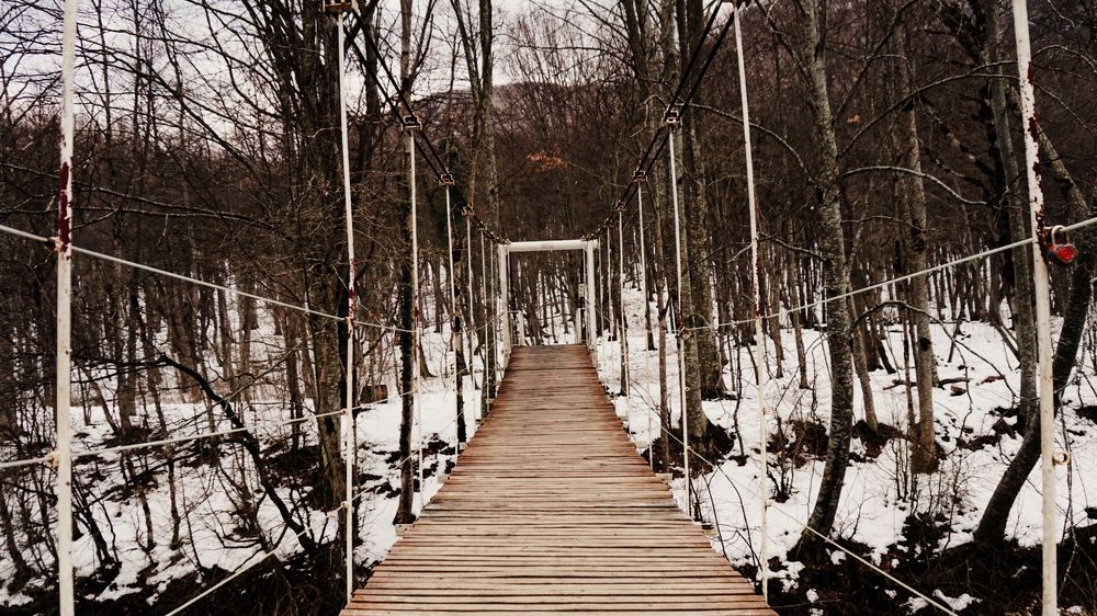 Мост ведущий в лес