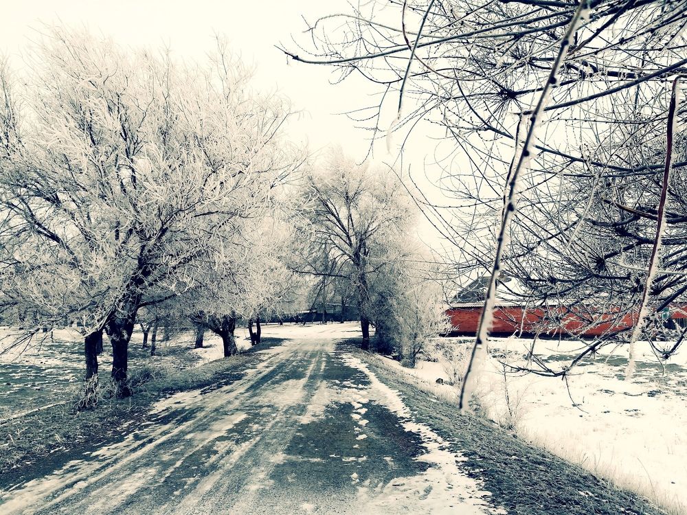 Прекрасная зима