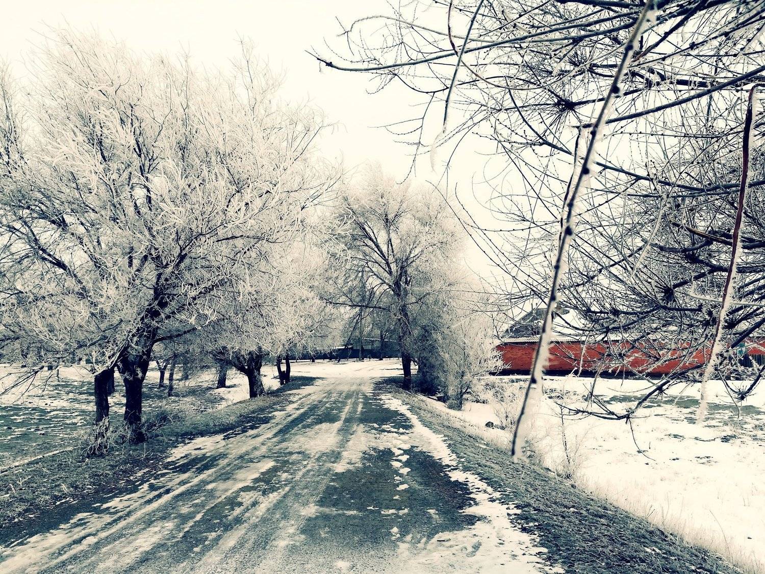 Прекрасная зима
