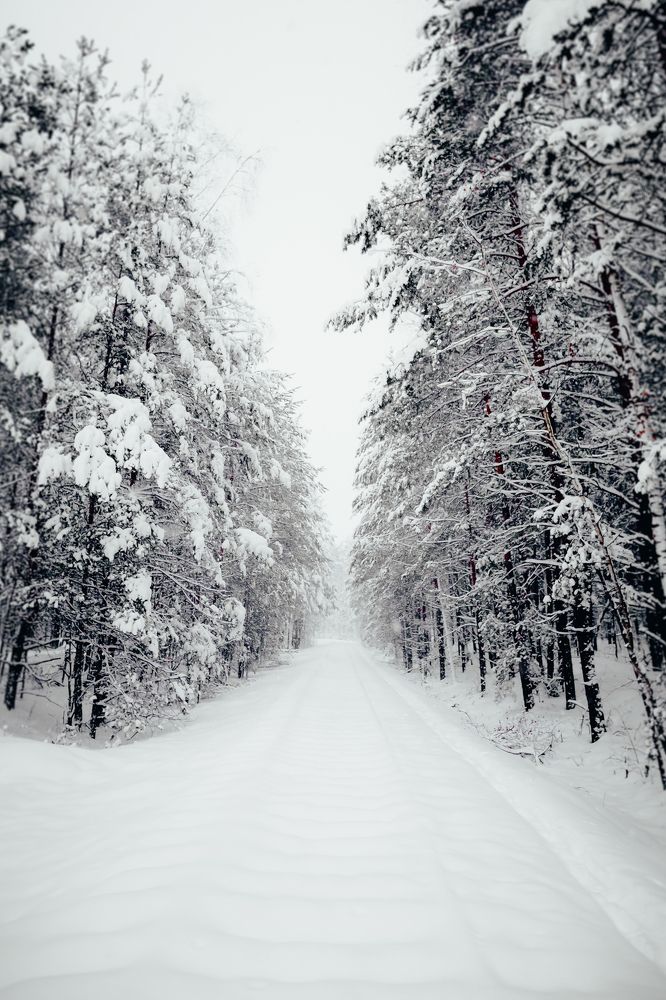 Photograph by Геннадий Климов