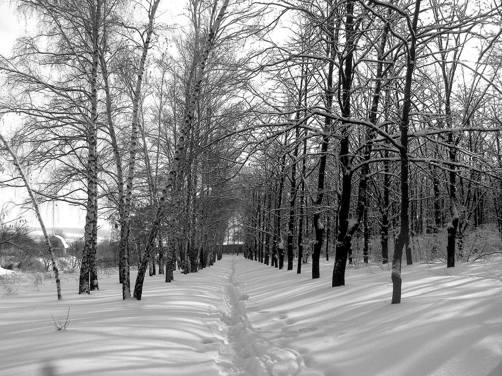 Photo #2832914