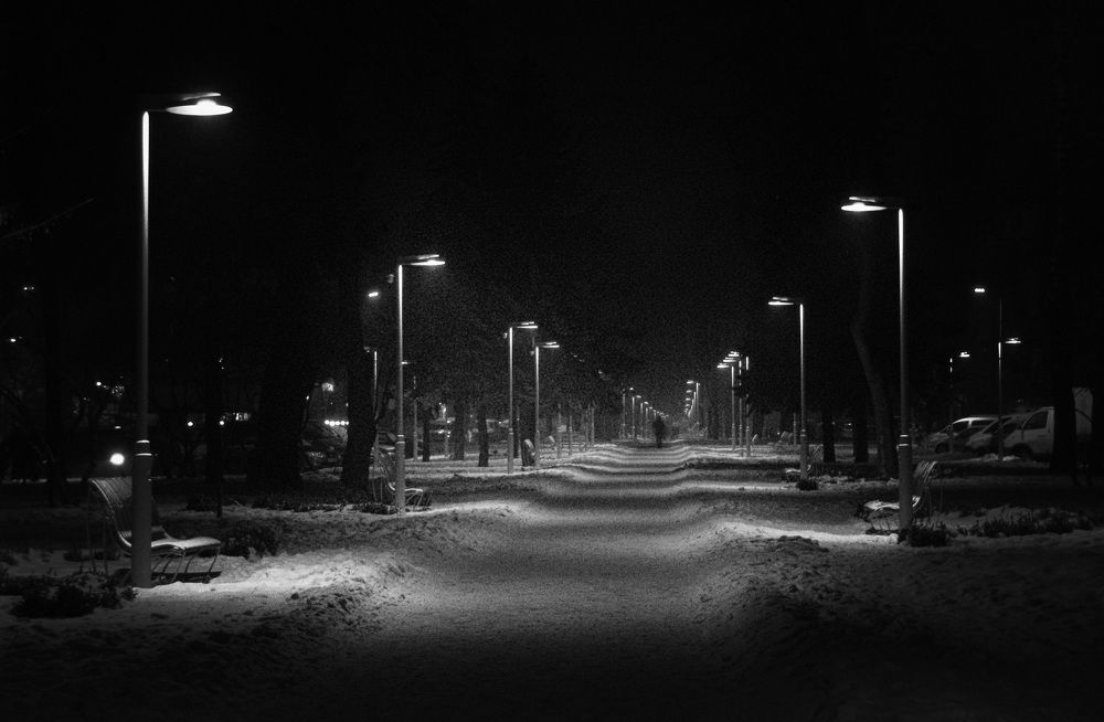 Photograph by DzjuSan