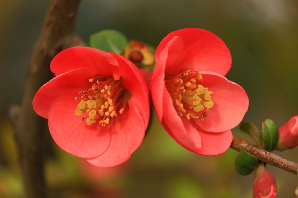 Photograph by Сергей Кульков