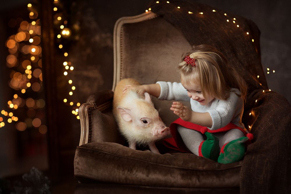 Злата и Жужу