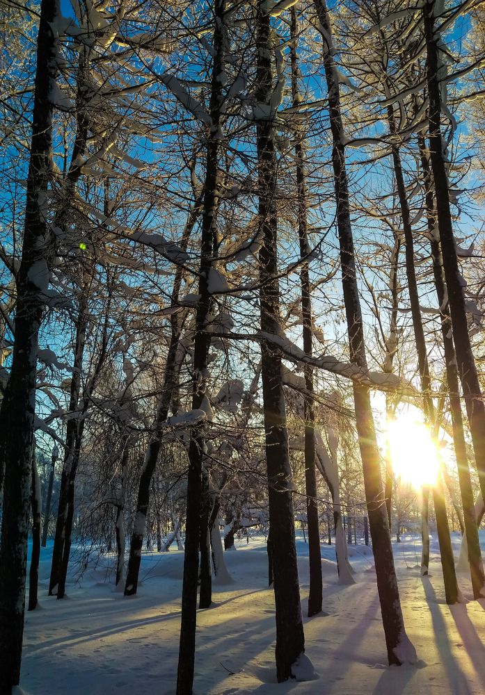 Зимнее солнце