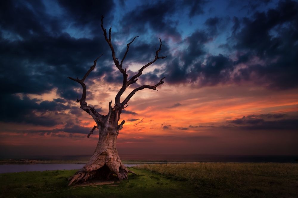 Is This the End ...?