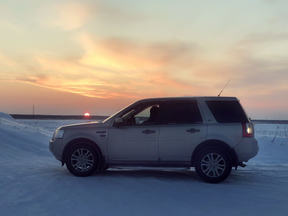 мой любимый фрил